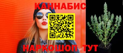 сатива Краснокаменск