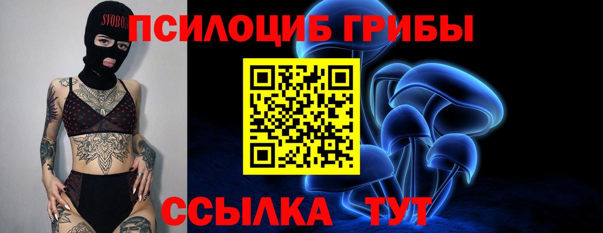 Екатеринбург  Псилоцибиновые грибы мицелий  Галлюциногенные грибы GOLDEN TEACHER  Вход с VPN 